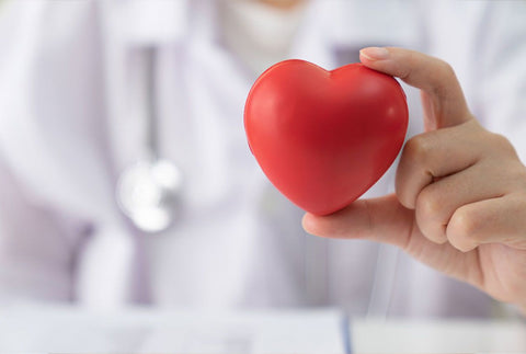 Circulación y Salud del Corazón